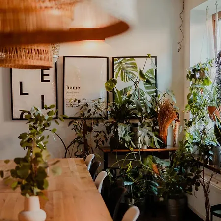 Zacisze ホームステイ モラビツァ